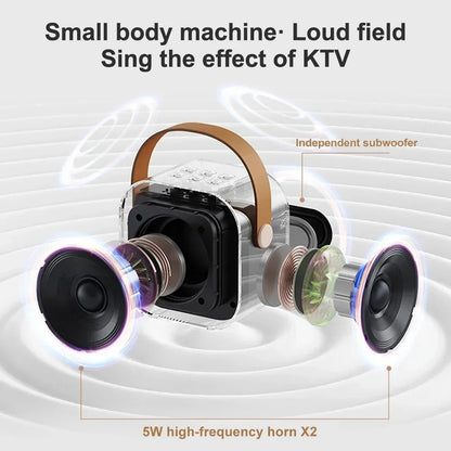 Canto profesional Bluetooth $ altavoz ColumnSpeaker micrófono de Karaoke Ktv de alta gama micrófono inalámbrico de Audio Bluetooth