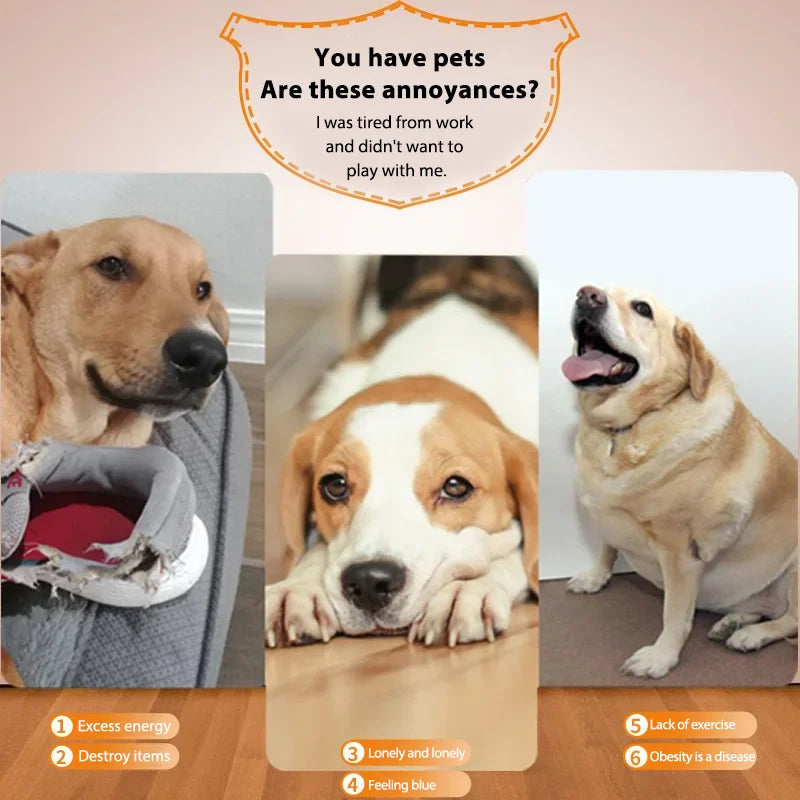 Juguetes para perros y mascotas, máquina de lanzamiento automática con ajuste de distancia de tres velocidades, catapulta de 3/6/9m, lanzador de tenis, dispositivo de lanzamiento de pelotas para mascotas